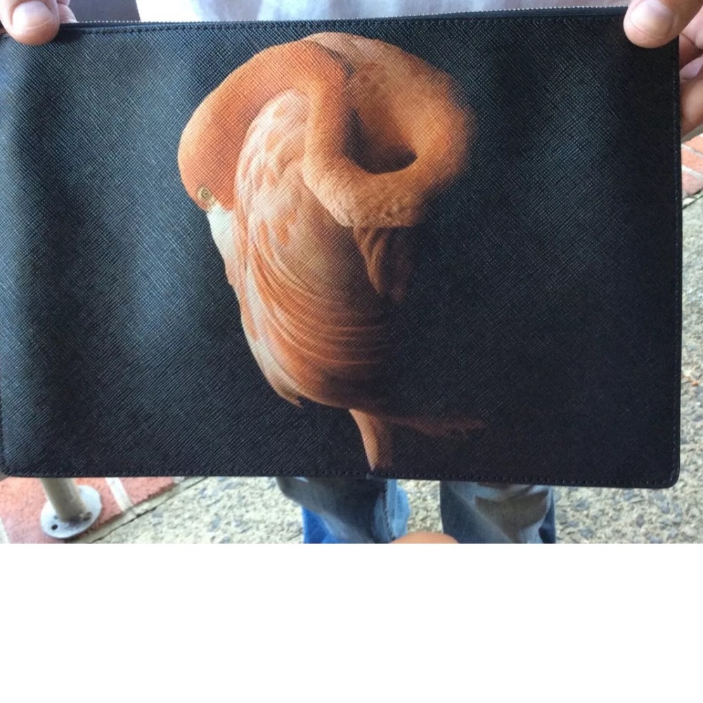 Givenchy clutch